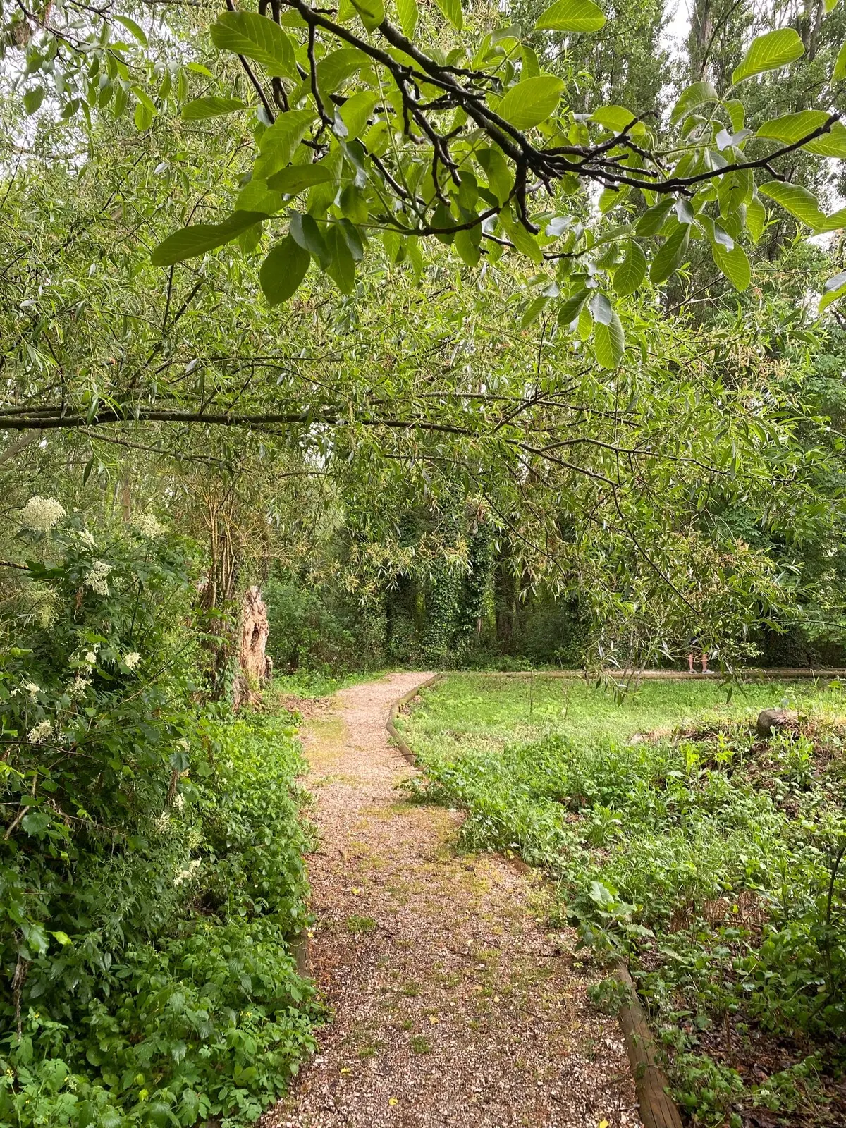 Sendero junto al río Cidacos