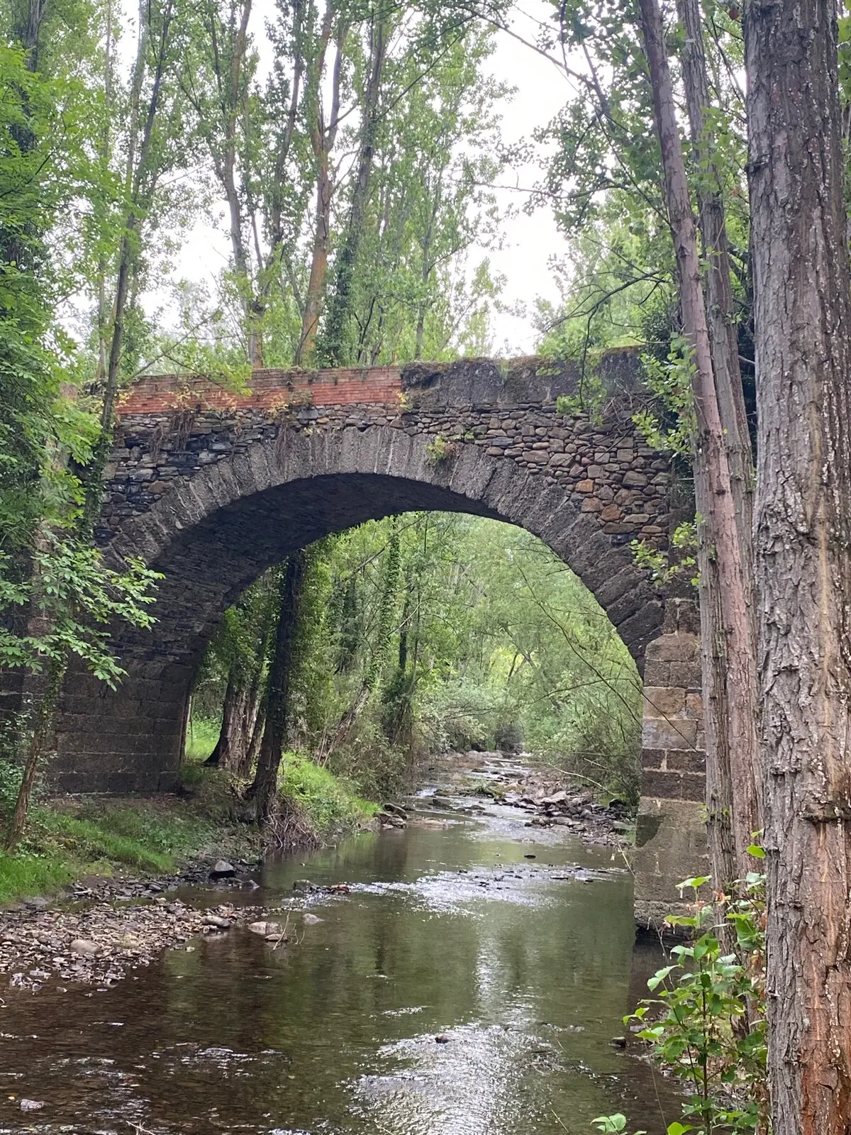 Puente de piedra sobre el río Cidacos