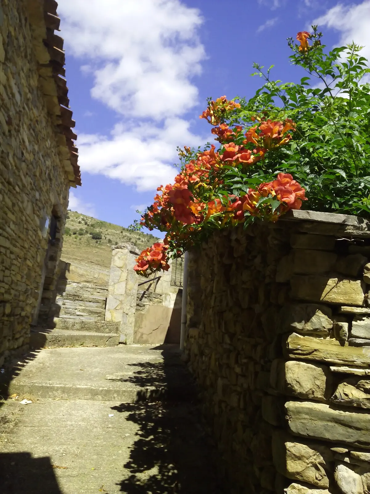 Calle empedrada de Yanguas con flores sobre un muro de piedra